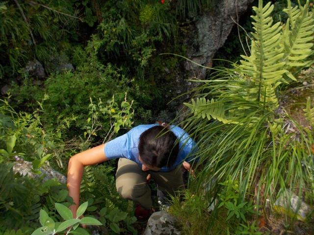  Climbing 
