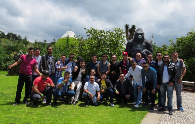 Actividades en grupo