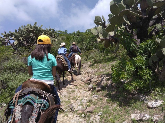  ride on horseback 