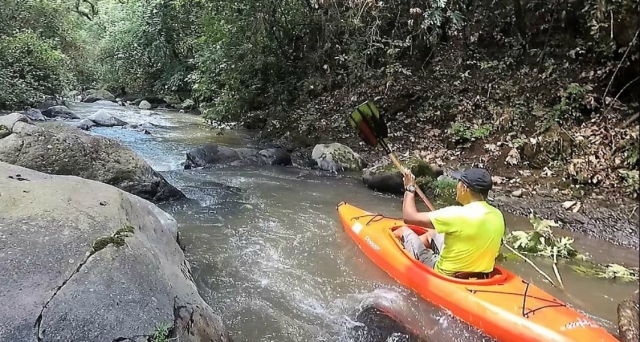  kayak 
