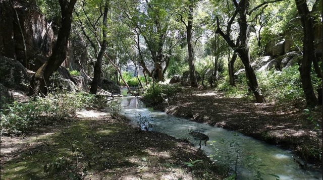  Natura completa. 