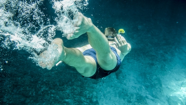  diving 