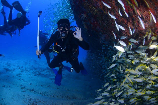  contemplating the marine beauty 