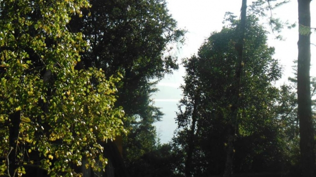 hermosa vista.