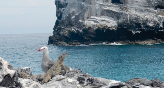 observando la naturaleza