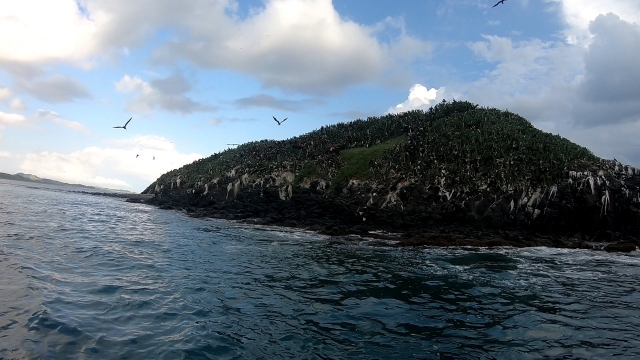  海岸风景 