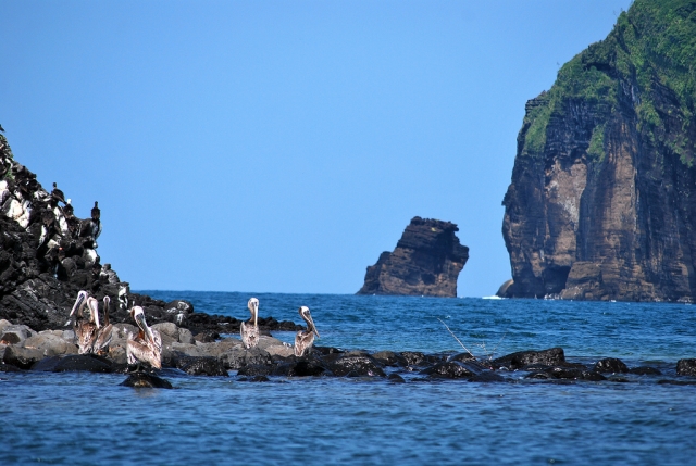  Punta Roca Partida 
