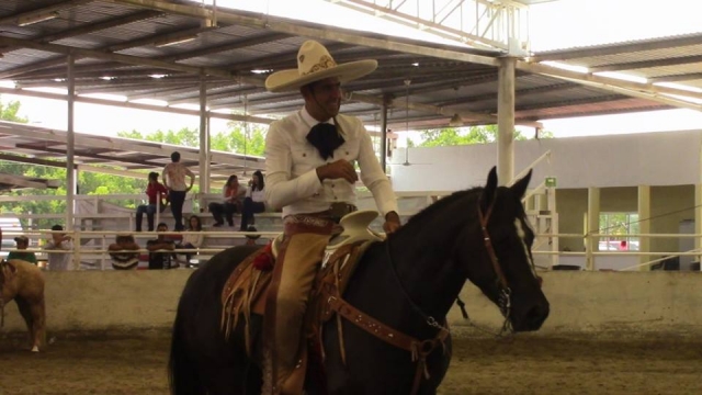  auf der Ranch 