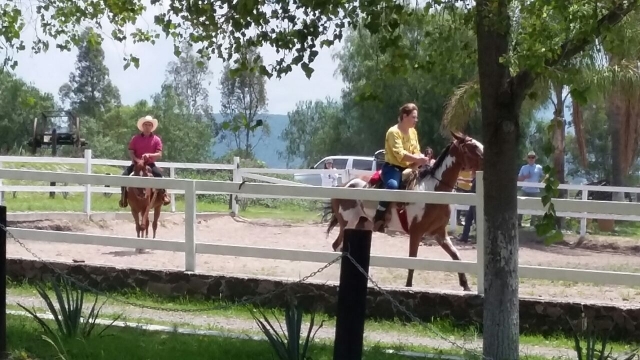  Reiten 