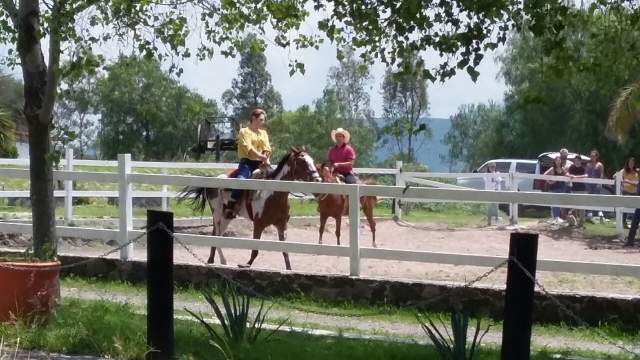 Auf der Ranch herumlaufen