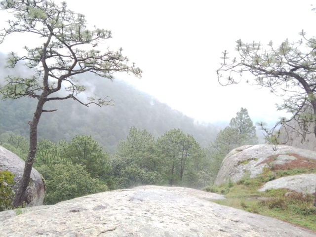  Piedra Ball Viewpoint