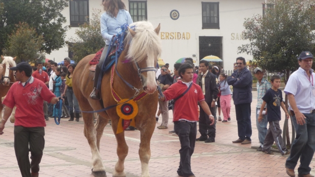 Walking a horse 