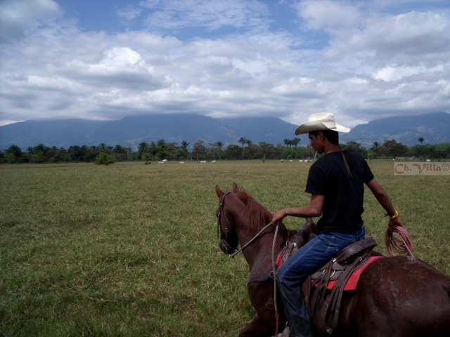  Riding 