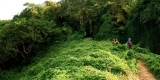 Caminhada guiada até o Monkey Hill, Mita Tip