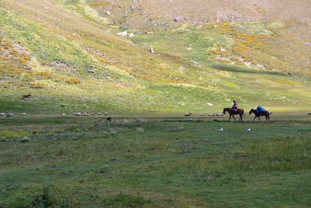  Paysages équestres 