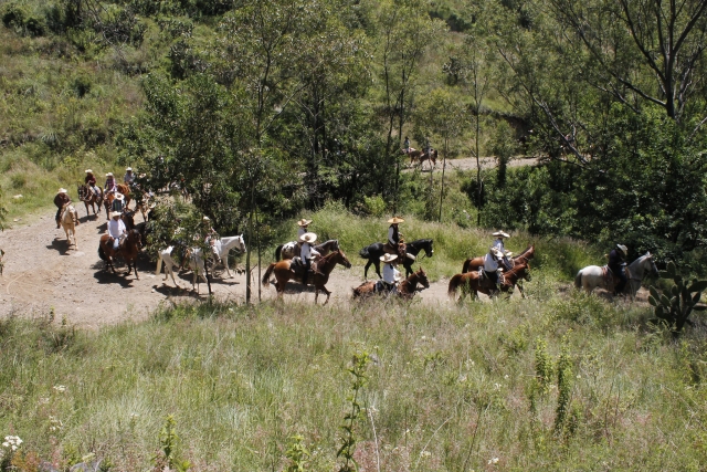  Itinéraires avec chevaux 