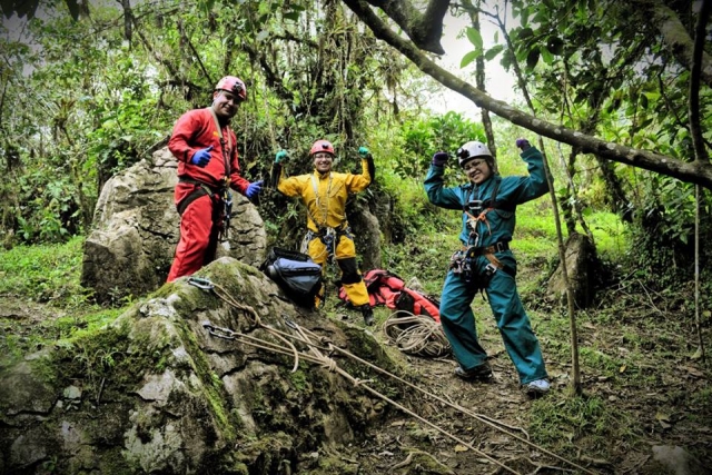  survivants. 