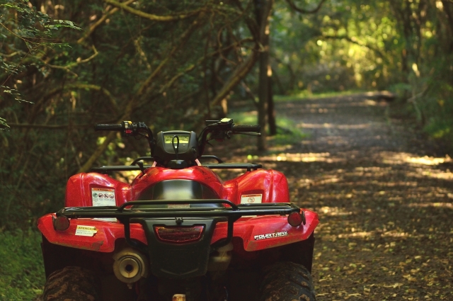  ATV 