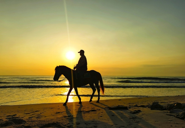  Reiten im Sonnenuntergang 