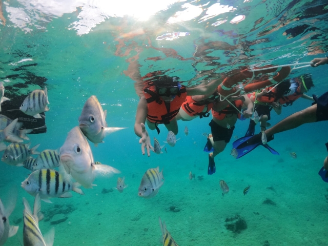 Nager sous la mer 