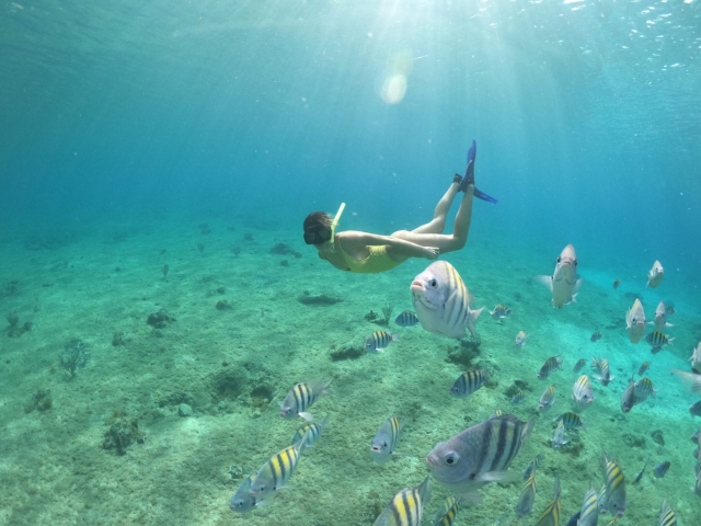  Snorkeling sur l'île 