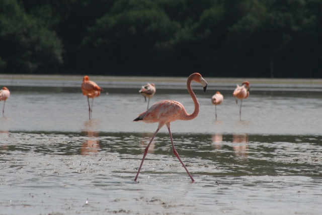 Conoce la reserva natural