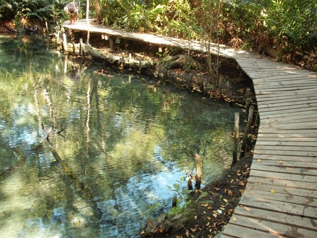 puentes asombrosos