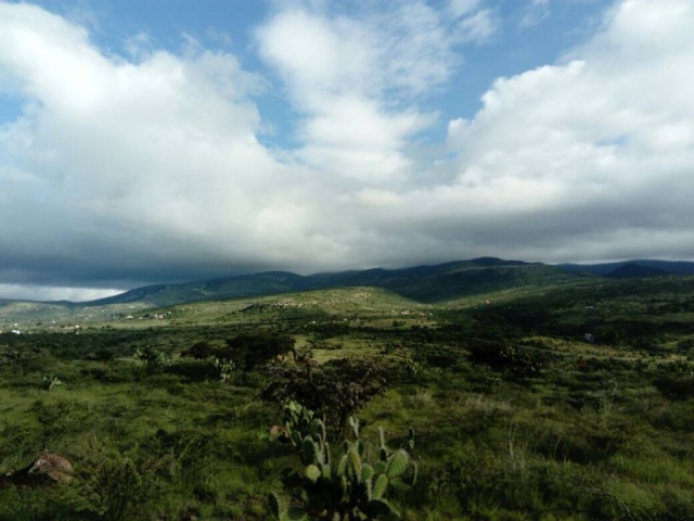  San Miguel.