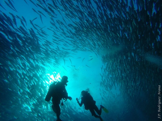 CABO PULMO DIVE 