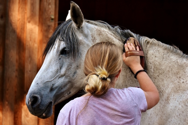  cavallo con amore. 