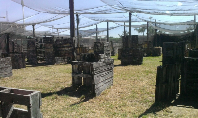  Battlefield Gardens 