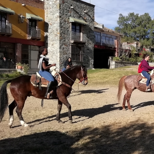 Paseo a caballo