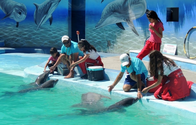  Experiência com Delfines 