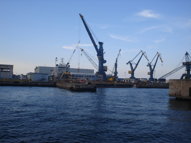  the port 