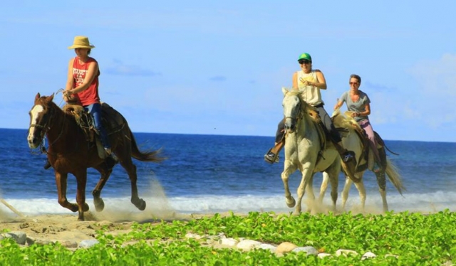  équitation 