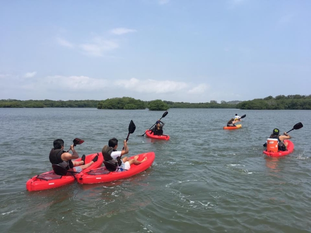  Pagayer sur les kayaks 