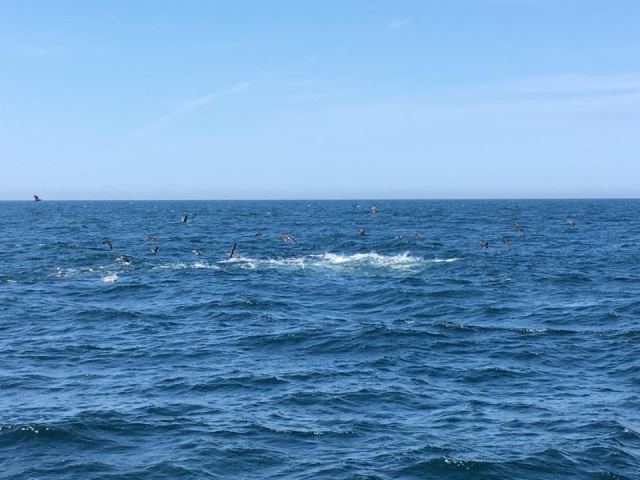  profitez de la pêche 