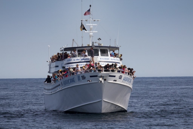  bateau nayarit 