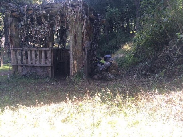  Scopri i nostri diversi scenari 