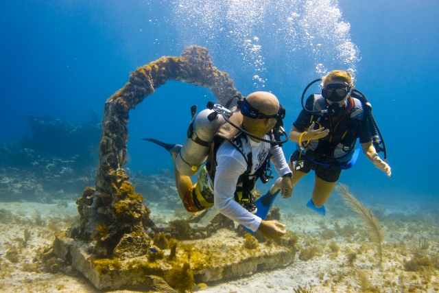 Récifs des Caraïbes mexicaines 