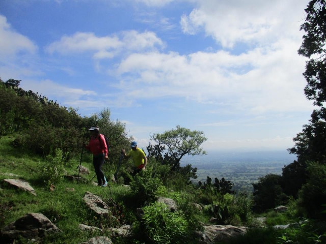  Außergewöhnlicher Spaziergang 