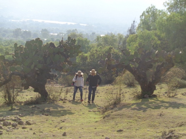  hiking in mountains 