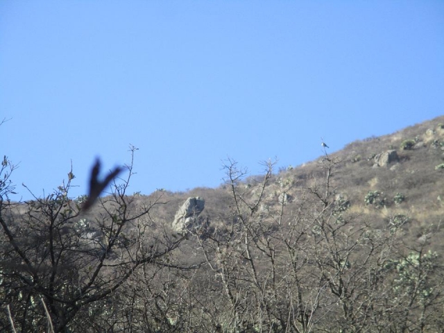  Paisagens para desfrutar