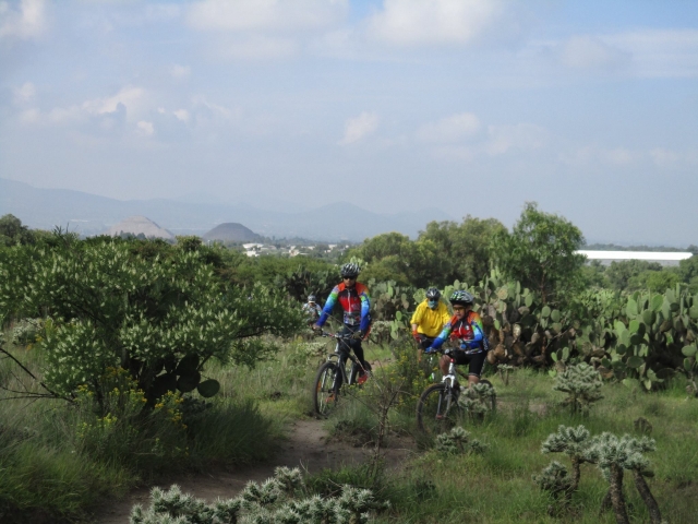 gite in bicicletta 