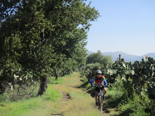  ciclismo 