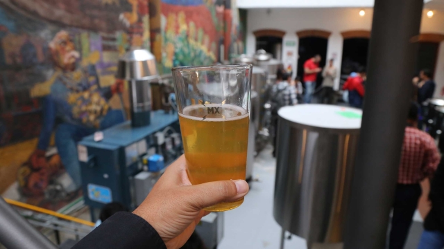  Produzione birra 
