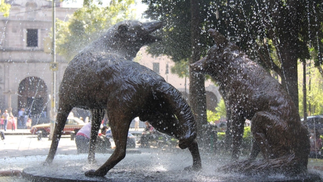  Fontana al centro 