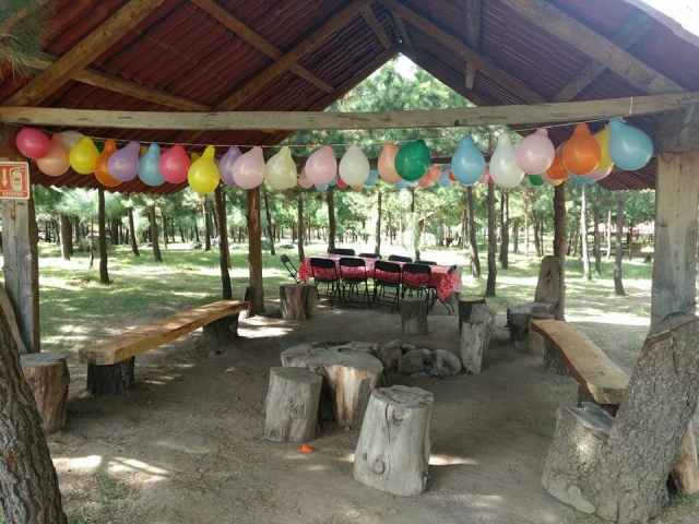 Palapa 