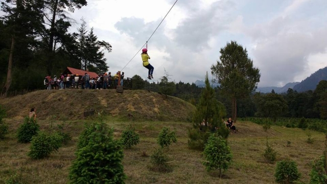  zip line