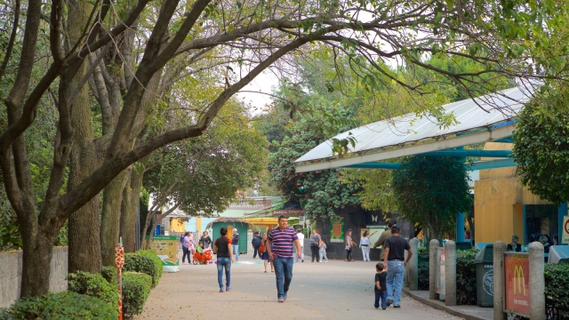  Parc de Chapultepec 